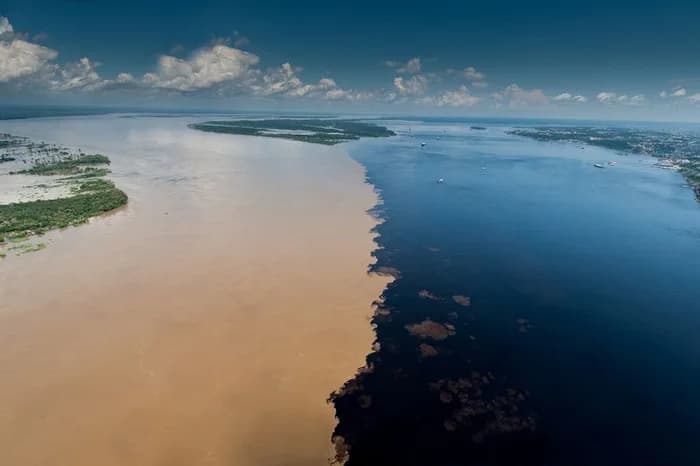 Safari Amazônico